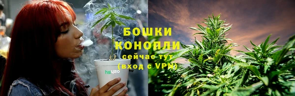 прущие крисы Михайловка