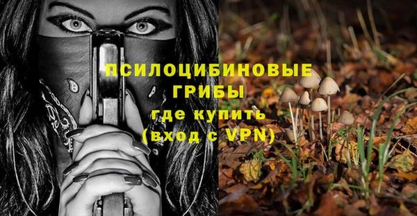 дмт Михайловск