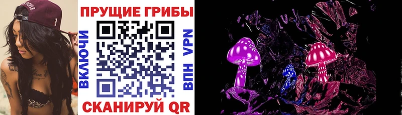 Псилоцибиновые грибы Psilocybine cubensis Шацк